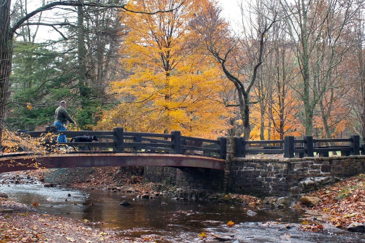 Caledonia State Park