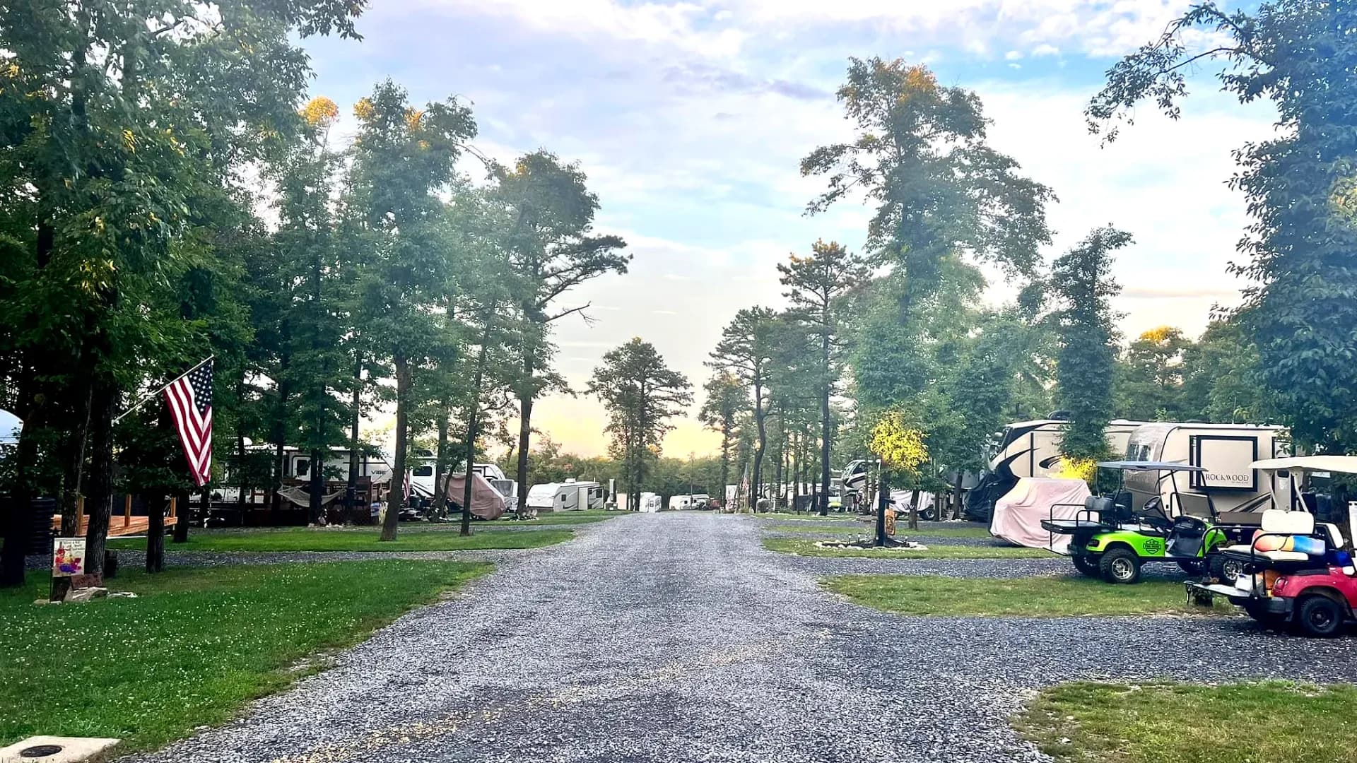 Tree-lined campground road