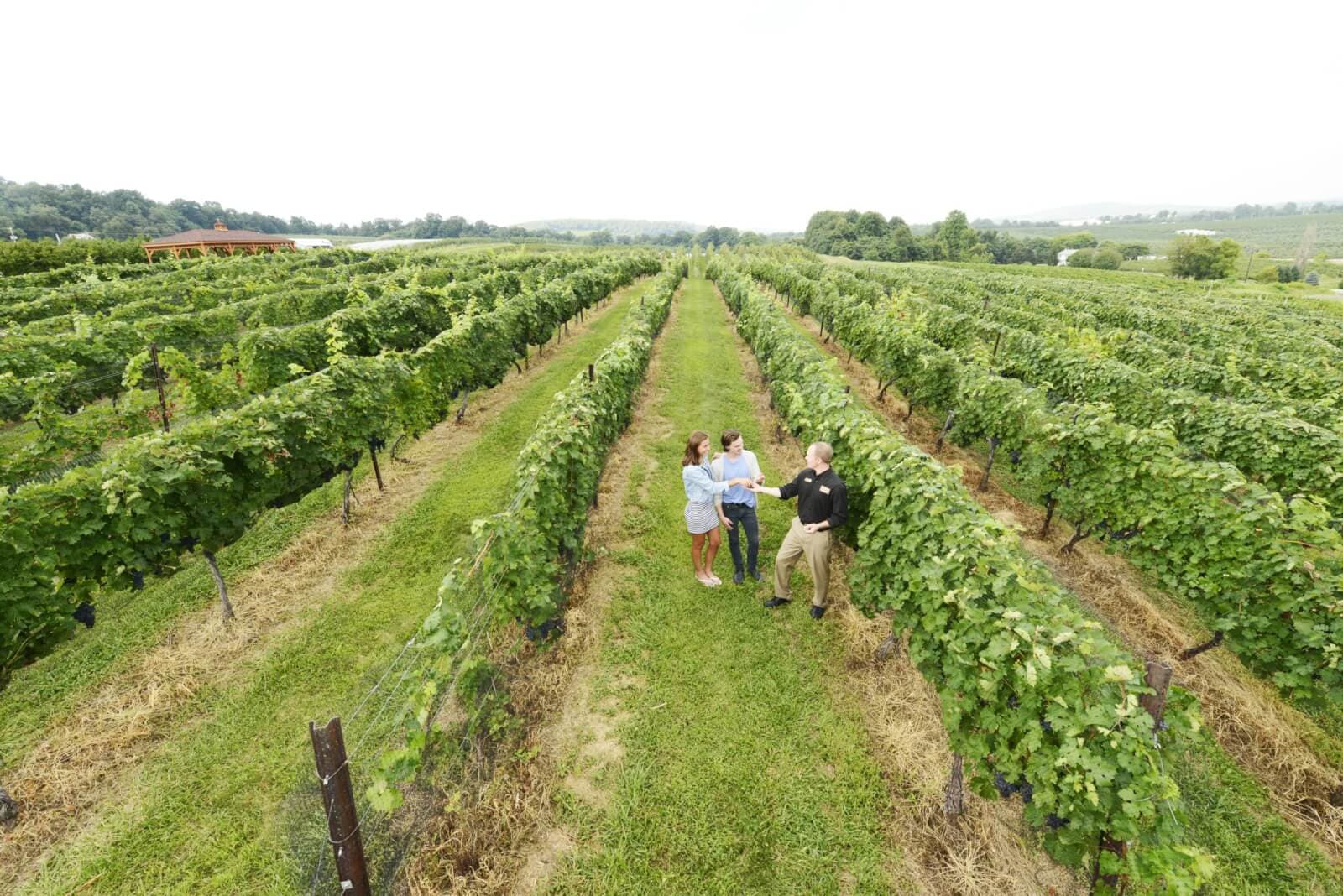 Scenic view of Gettysburg and Adams County Pennsylvania countryside