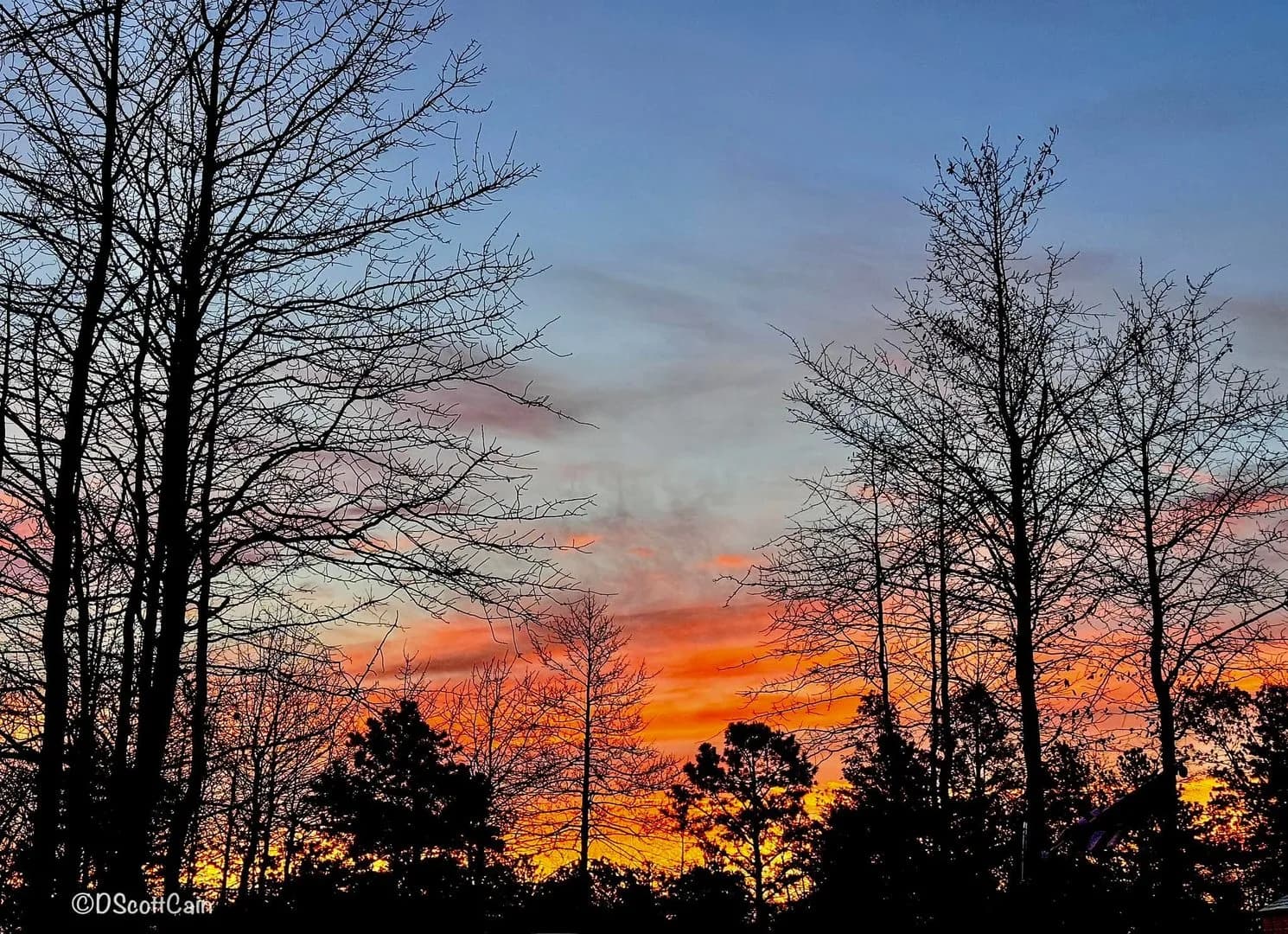 Pine Ridge Campground mountain setting