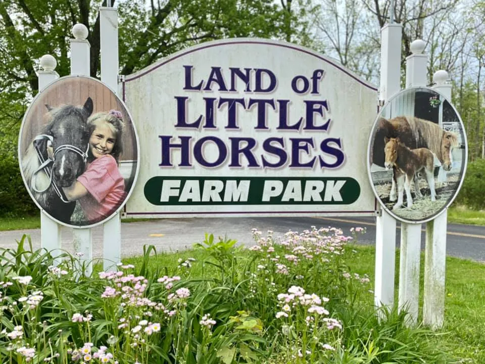 Land of Little Horses